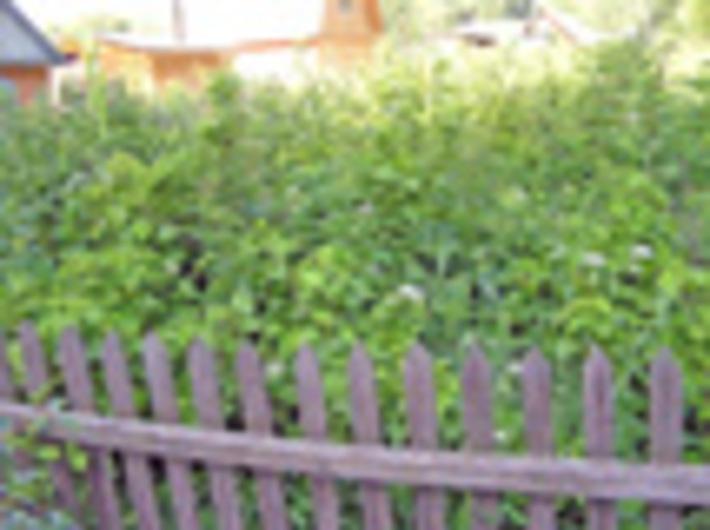 172-04.jpg