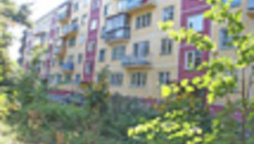 174-31.jpg