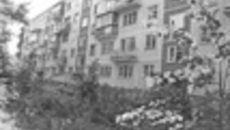 174-31.jpg