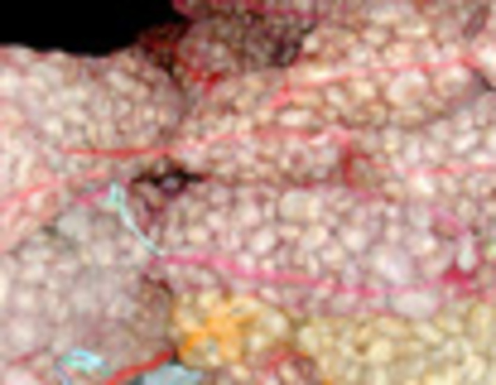 182-03.jpg