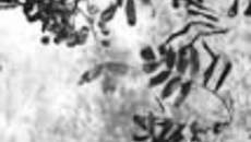 192-55.jpg