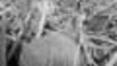 192-54.jpg