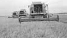 192-39.jpg
