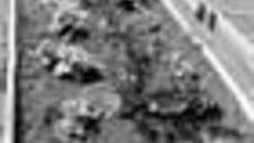 197-55.jpg