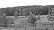 197-14.jpg