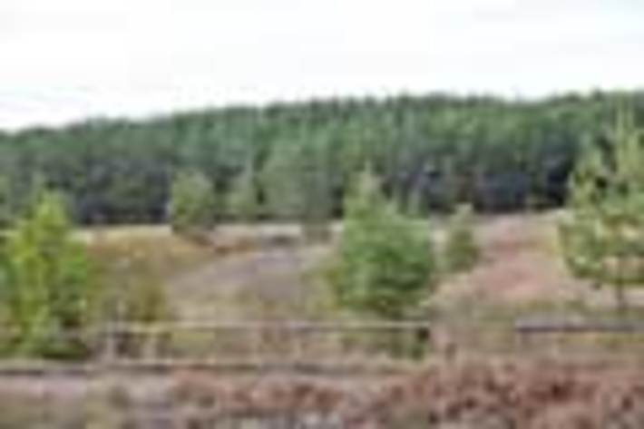 197-14.jpg