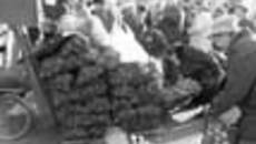 209-04.jpg