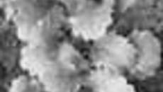 226-54.jpg