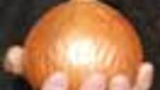 241-53.jpg