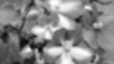 005-39.jpg
