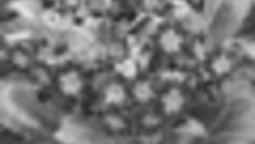 020-43.jpg