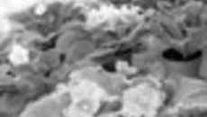 025-67.jpg