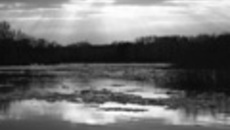 062-08.jpg