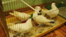 063-08.jpg