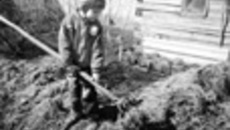 086-46.jpg
