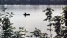 091-10.jpg