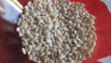 098-06.jpg