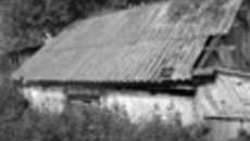 099-06.jpg