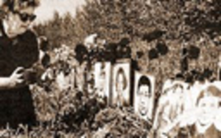 103-07.jpg