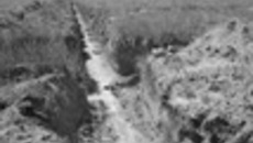 116-07.jpg