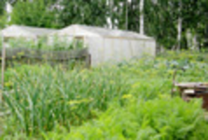139-47.jpg