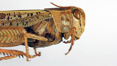 144-07.jpg