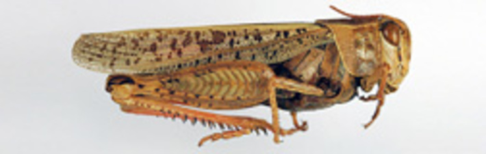 144-07.jpg