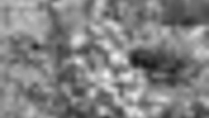 149-50.jpg