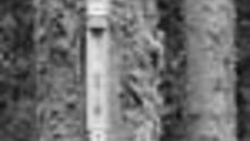 154-01.jpg