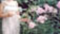 154-04.jpg