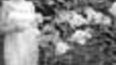 154-04.jpg