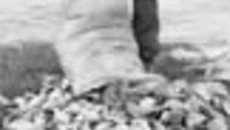 169-48.jpg