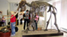 171-18.jpg