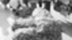 181-14.jpg