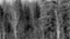 182-06.jpg
