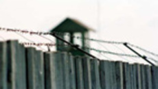 131-13.jpg