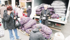 Без картошки зимой не останемся.