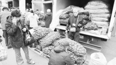 Без картошки зимой не останемся.