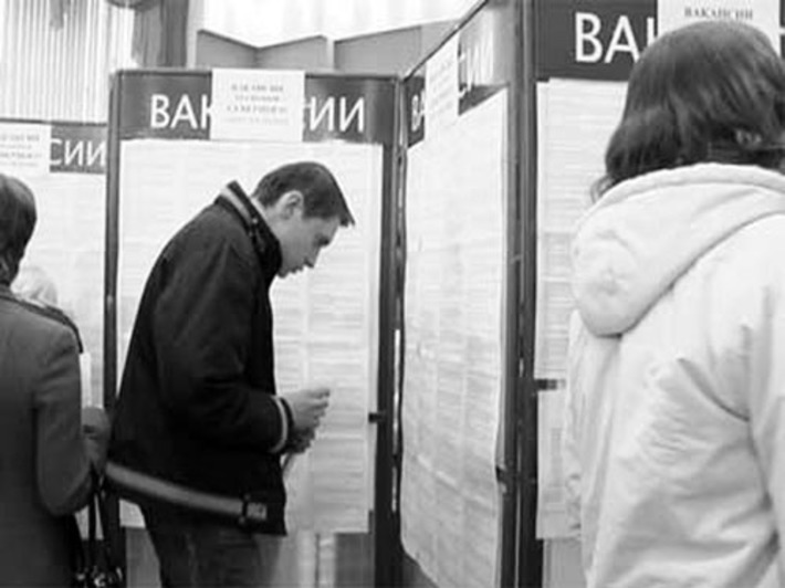 Службы занятости Новосибирской области предлагают множество вакансий.