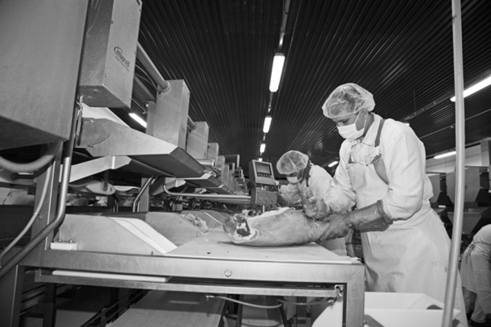 Примером успешной кооперации производства, переработки и сбыта продукции в регионе служит холдинг «Кудряшовский свинокомплекс»: уже второй год в Криводановке действует мясоперерабатывающий комплекс. Фото Сергея ДЯТЛОВА.