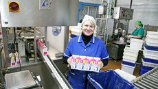 Агропромышленный комплекс области выиграет, если на конкурентном поле появятся новые предприятия по глубокой переработке. Например, такие, как племзавод «Ирмень».  Фото Бориса МОСКВИНА.