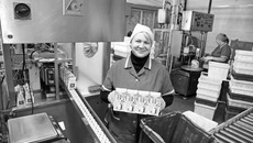 Агропромышленный комплекс области выиграет, если на конкурентном поле появятся новые предприятия по глубокой переработке. Например, такие, как племзавод «Ирмень».  Фото Бориса МОСКВИНА.