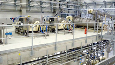 Таким будет комплекс  по глубокой переработке зерна. Фото предоставлены компанией «Баганский элеватор».