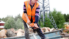 В Дубровинском лесхозе научились получать прибыль даже от опилок. Фото Михаила ПЕРМИНА