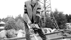 В Дубровинском лесхозе научились получать прибыль даже от опилок. Фото Михаила ПЕРМИНА