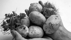 Фото с сайта flikr.com