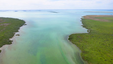 Озеро Чаны — один из наиболее перспективных объектов туристической индустрии. Оно и ныне является популярным местом отдыха жителей Новосибирской, Омской и Кемеровской областей. Фото с сайта ya.ru