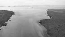 Озеро Чаны — один из наиболее перспективных объектов туристической индустрии. Оно и ныне является популярным местом отдыха жителей Новосибирской, Омской и Кемеровской областей. Фото с сайта ya.ru