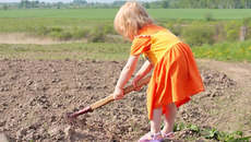 Я граблями поскребу, маме с папой помогу. Фото с www.kids.amu.ru