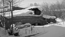 Развалины здания реальной толчельни монетного двора.  Фото Виталия ЗЛОДЕЕВА